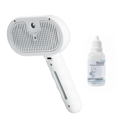 Mist Massage Brush+ Free Leave-In Serum 💧
