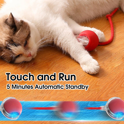 Interactive pet toy ball