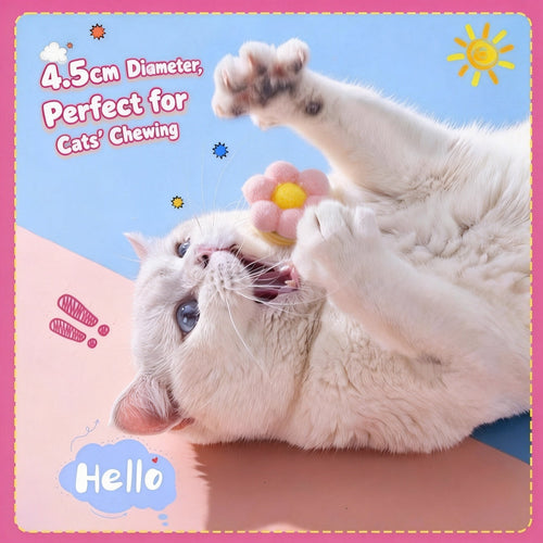 Catnip Chase Ball Toy