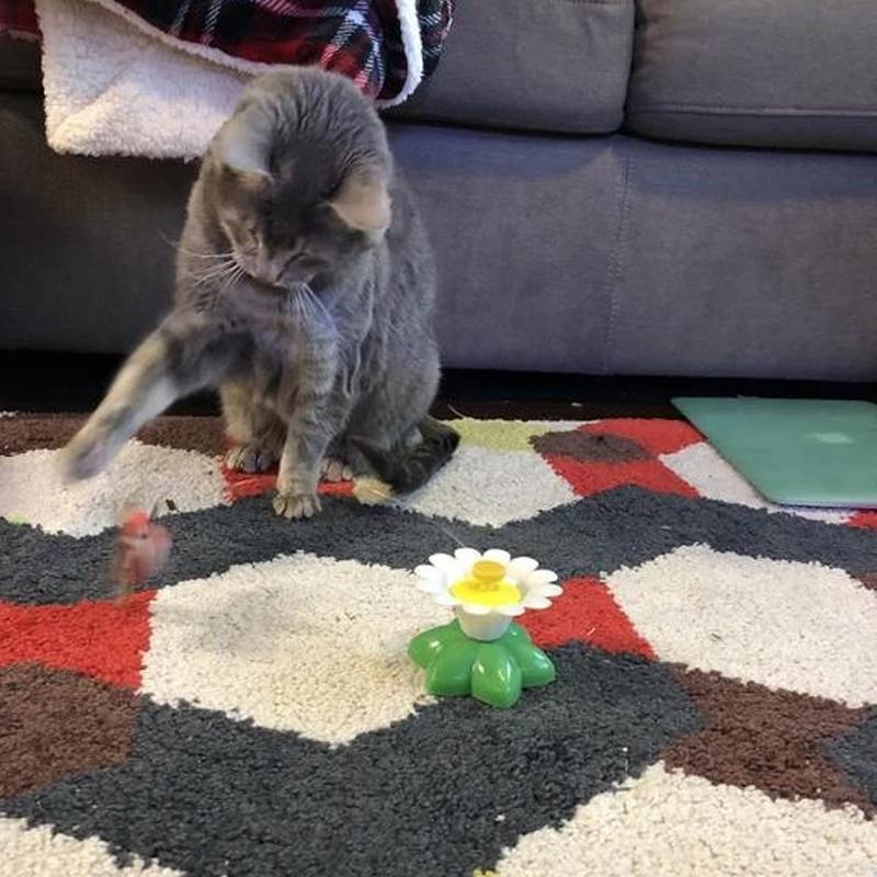 Interactive Flying Bird Cat Toy