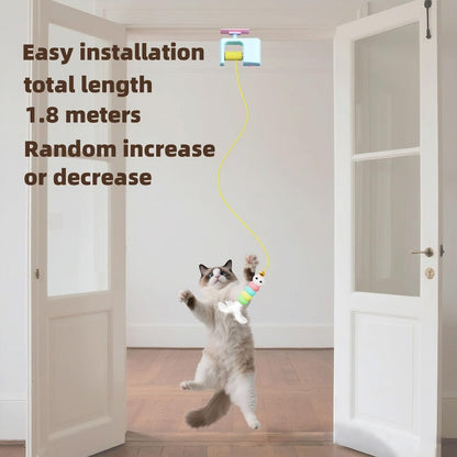 AutoBounce USB-C Ceiling Cat Teaser